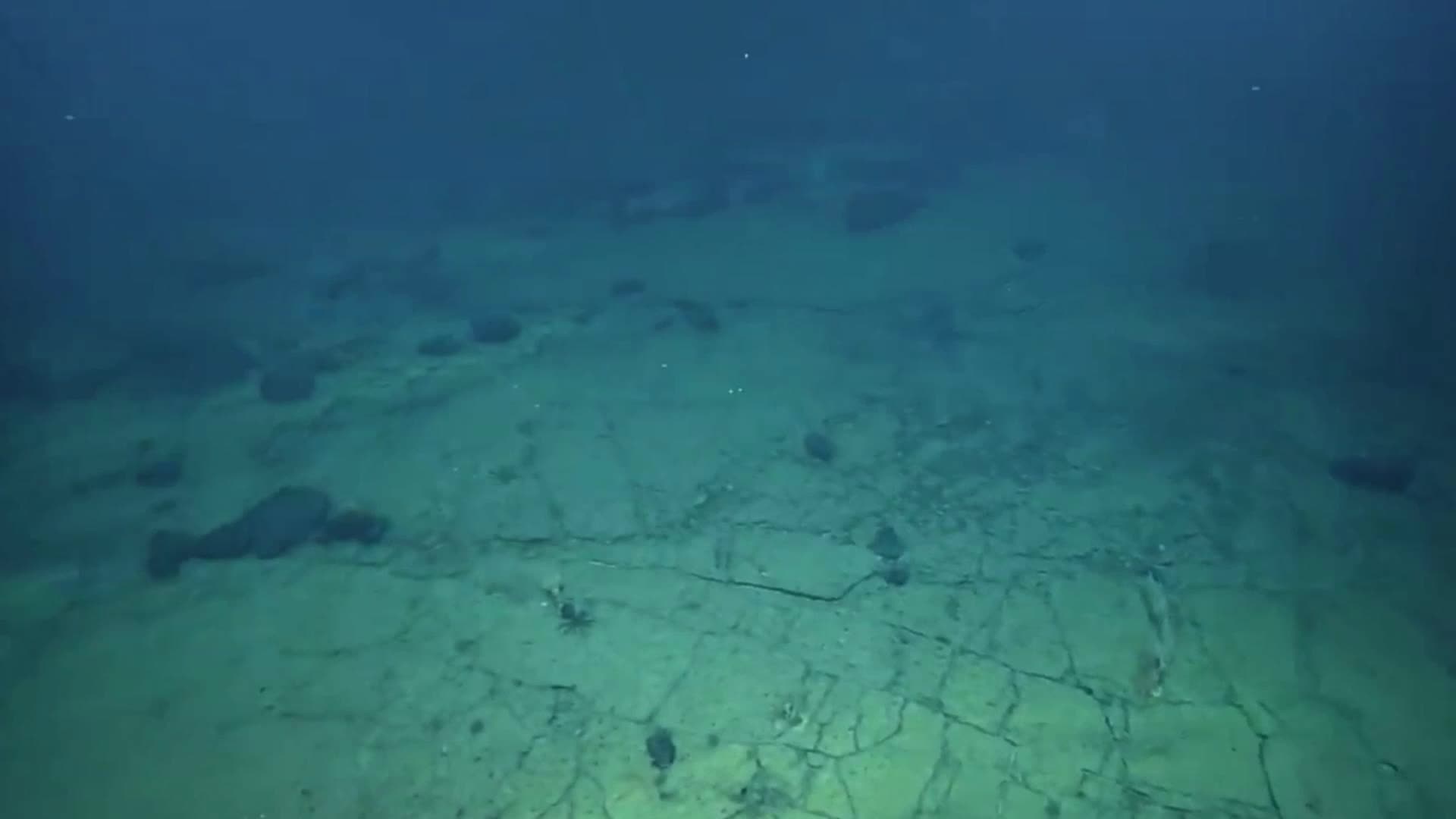 外媒：研究人员在太平洋发现了奇异的“黄砖路”