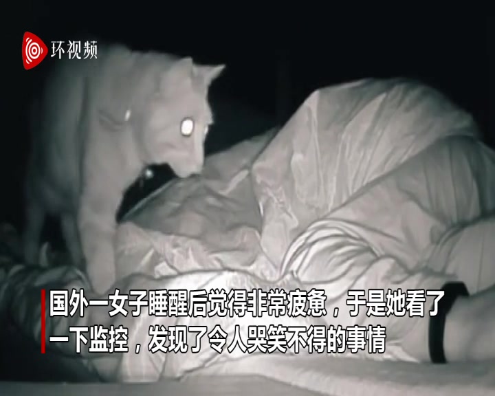 女子睡醒感到疲惫查看监控发现自家猫半夜打了她4小时